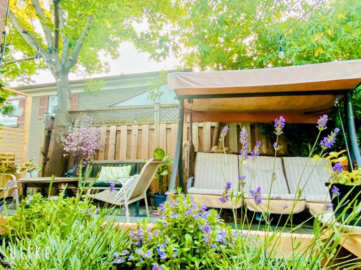Toronto Bed & Breakfast - Free Parking Buitenkant foto