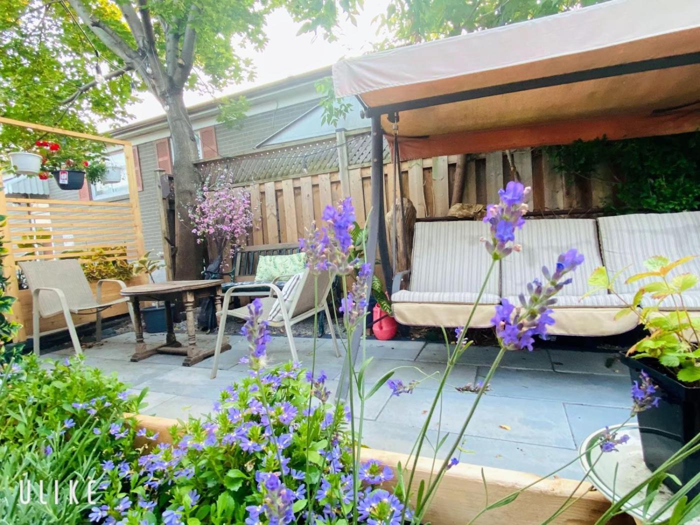 Toronto Bed & Breakfast - Free Parking Buitenkant foto